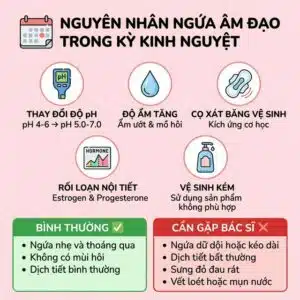 Ngứa vùng kín khi đến kỳ kinh: bình thường hay cần lo? — Her Feel PlayAh intimate care